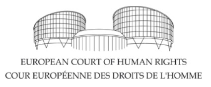 europeancourt_humanrights.jpg